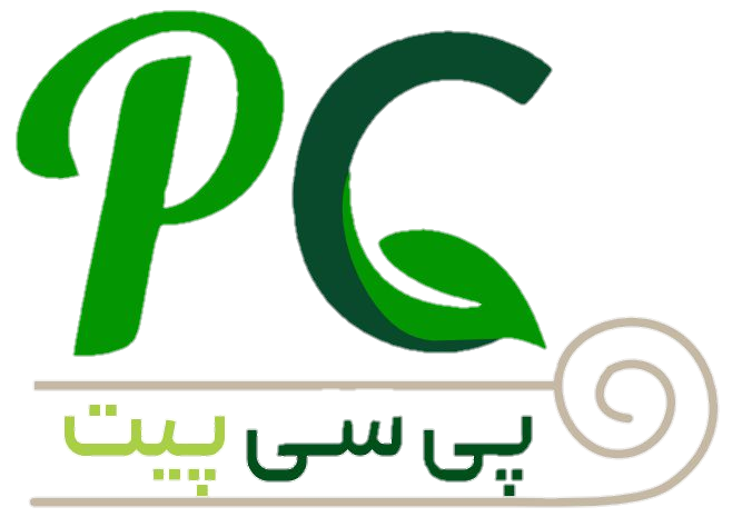 پی سی پیت